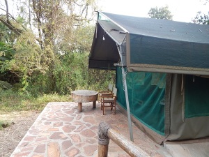 Tented Lodge in Akagera Game Park 